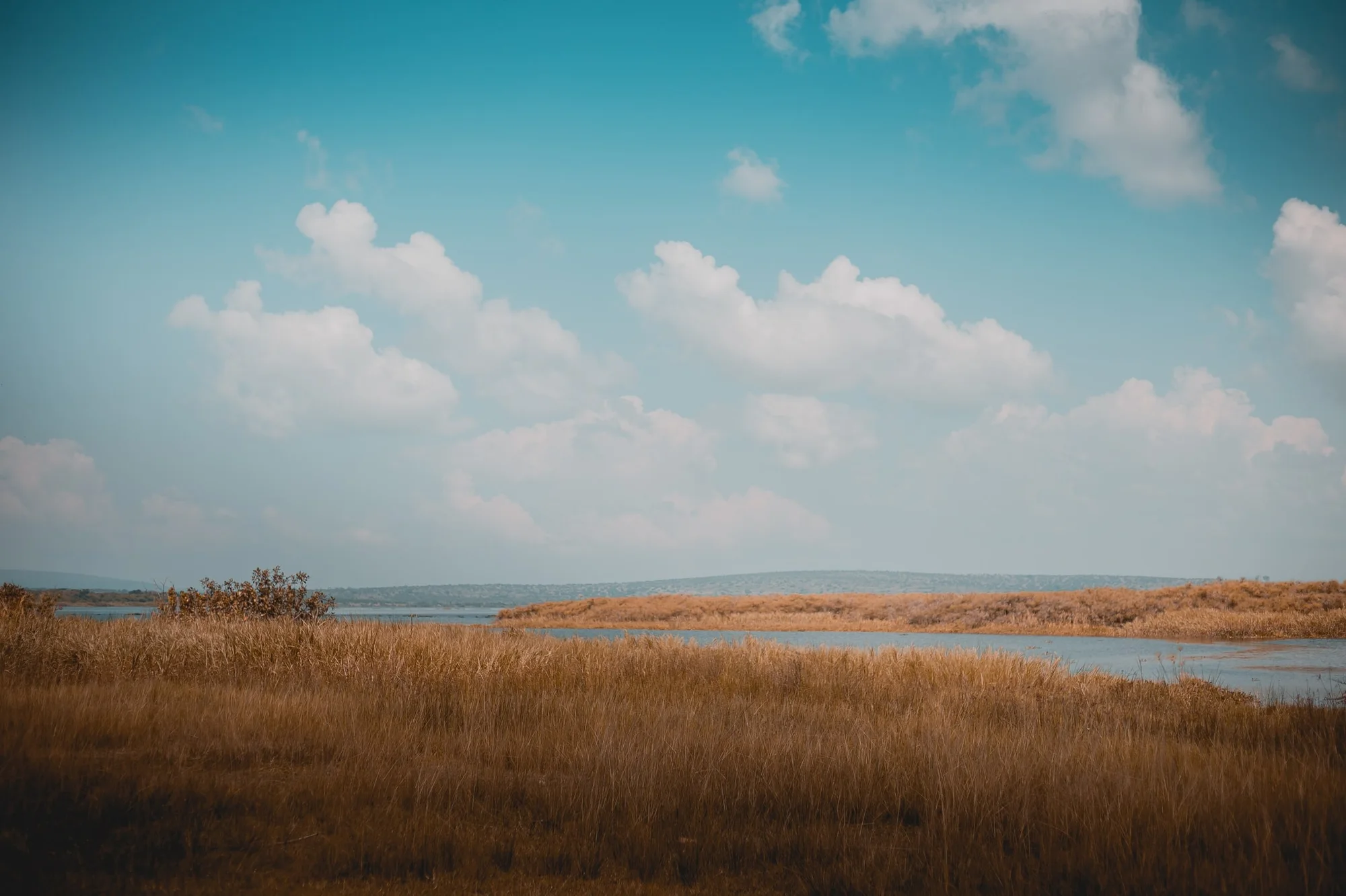 Camera Make Canon Camera Model Canon EOS 6D Focal Length 50.0mm Aperture ƒ/2.8 Shutter Speed 1/1600s ISO 100 Dimensions 4104 × 2736 The picture was taken from Akagera National Park