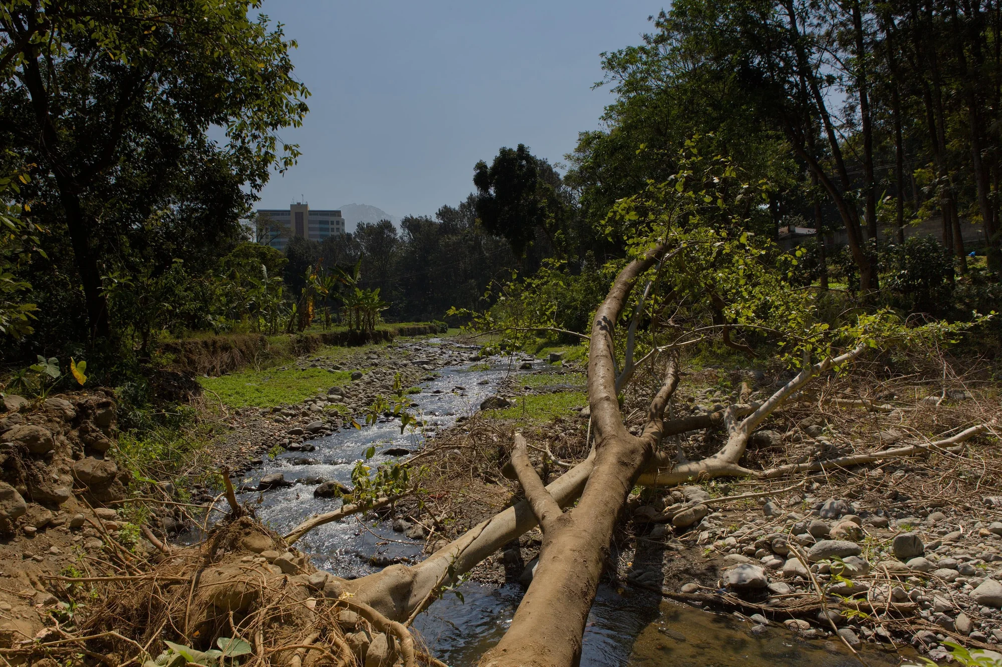 Themi River in Arusha Tanzania near River Road, direction north, with Mount Meru in background