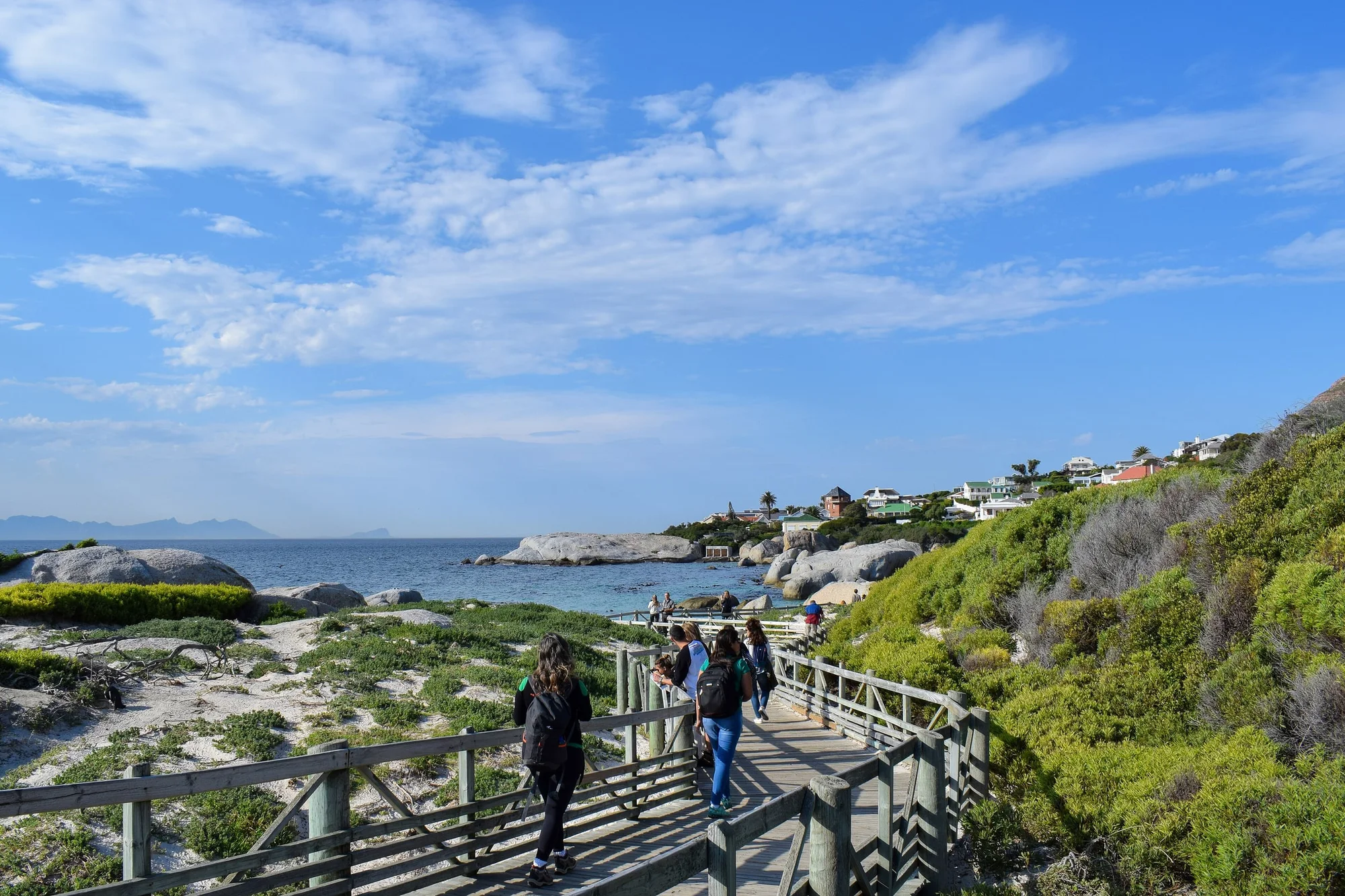 Boulders Beach, Cape Town