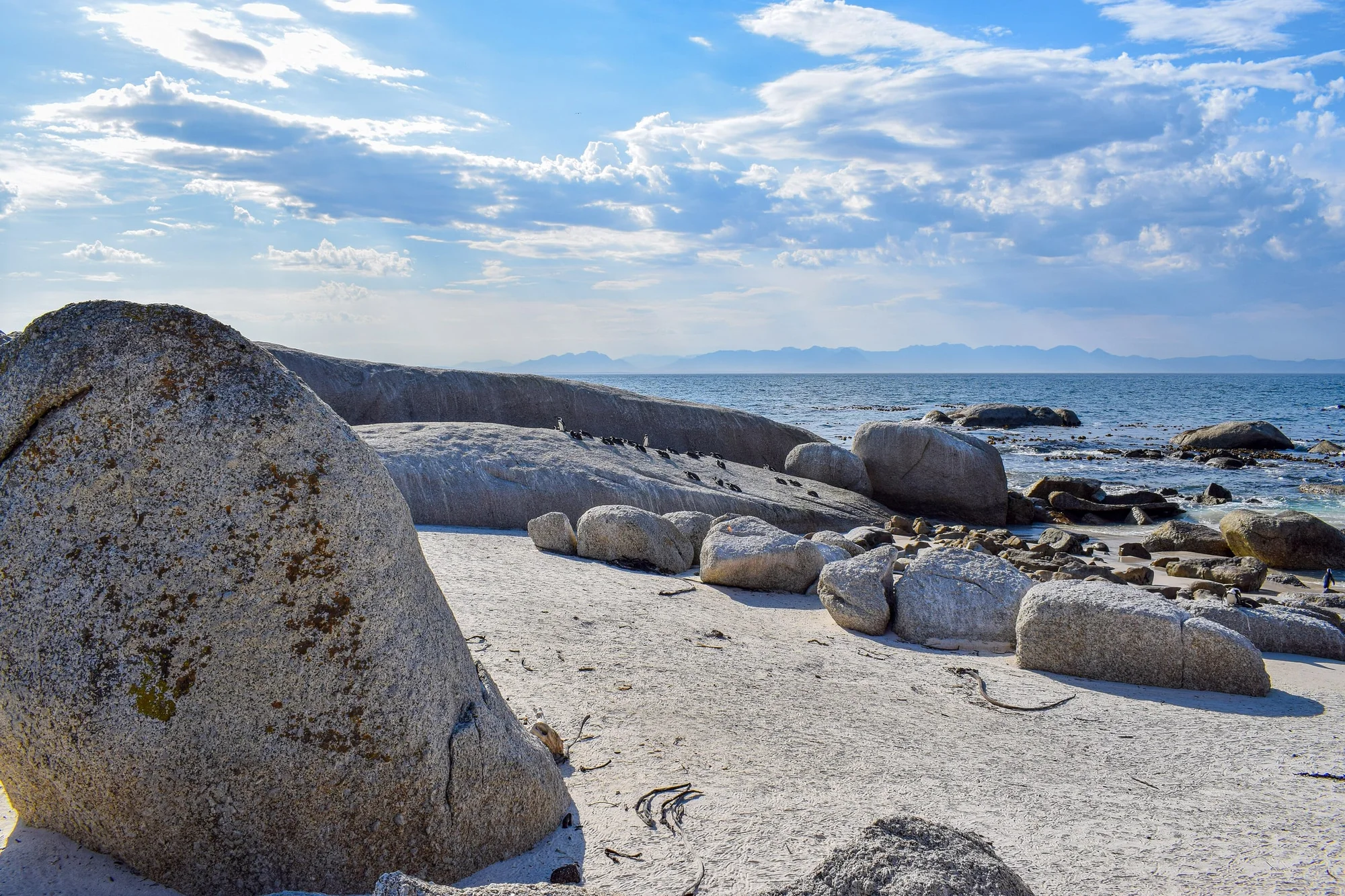 Boulders Beach, Cape Town