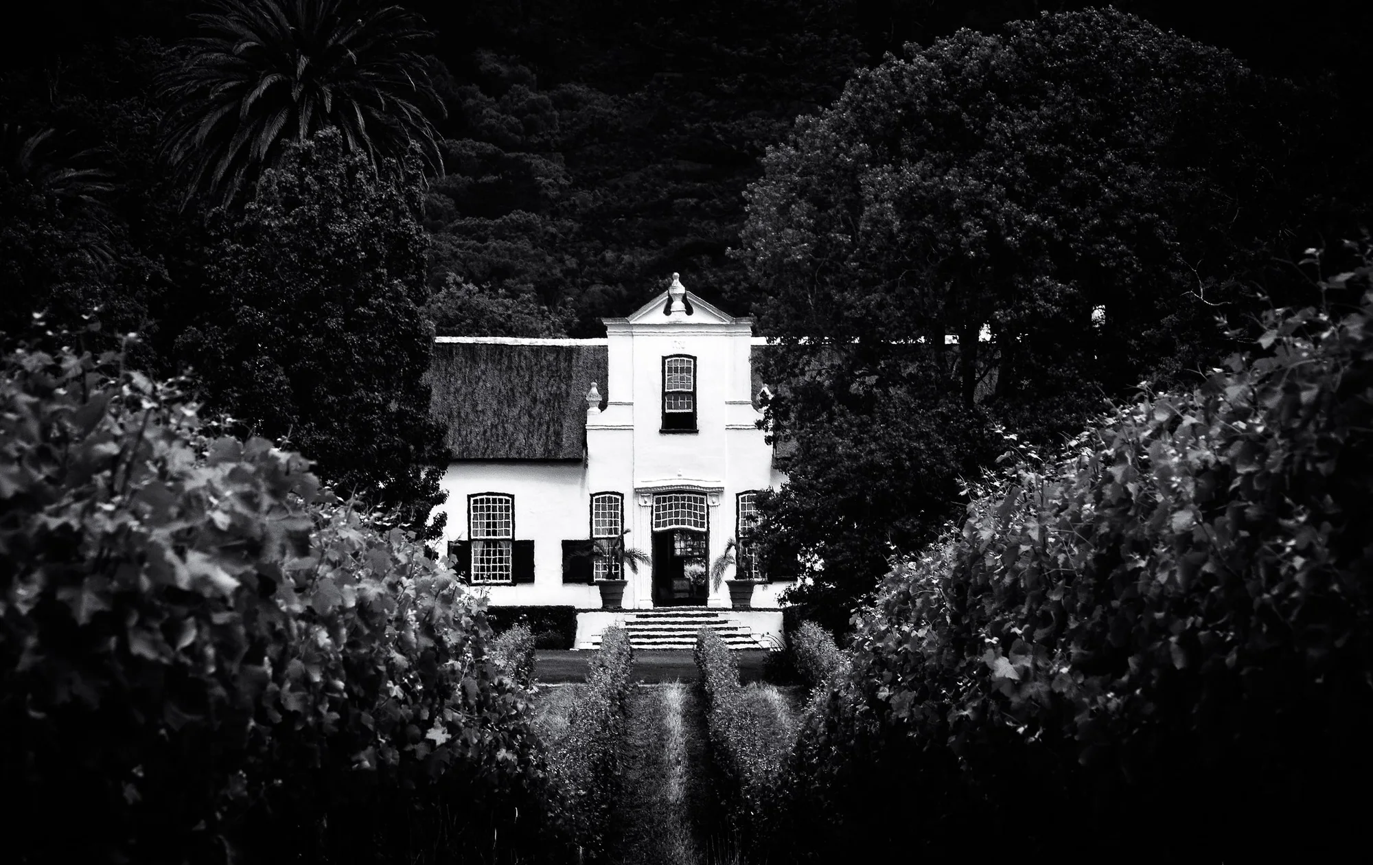 Cape Winelands, South Africa