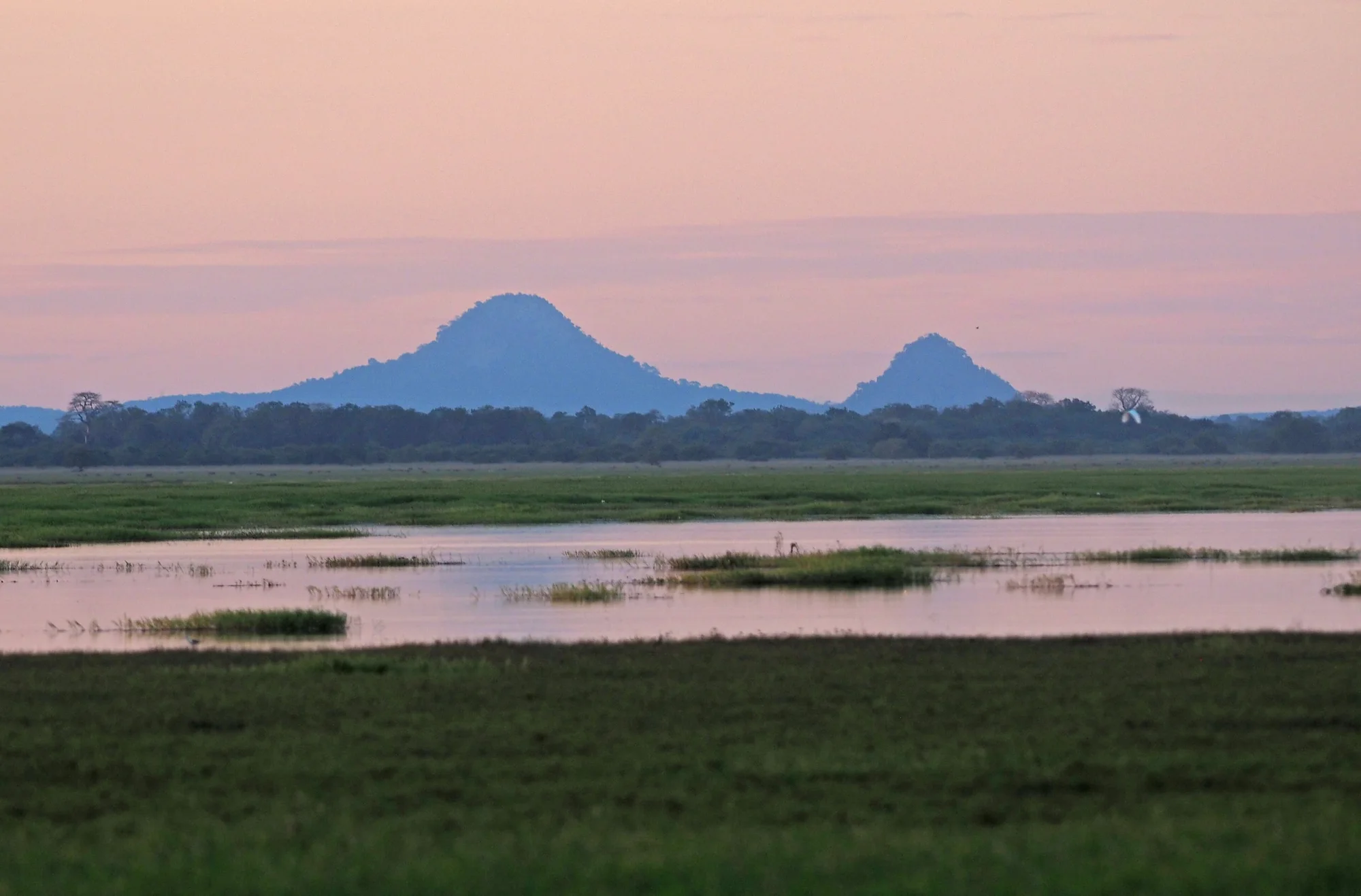 Mount Gorongosa, Gorongosa National Park, Mozambique
