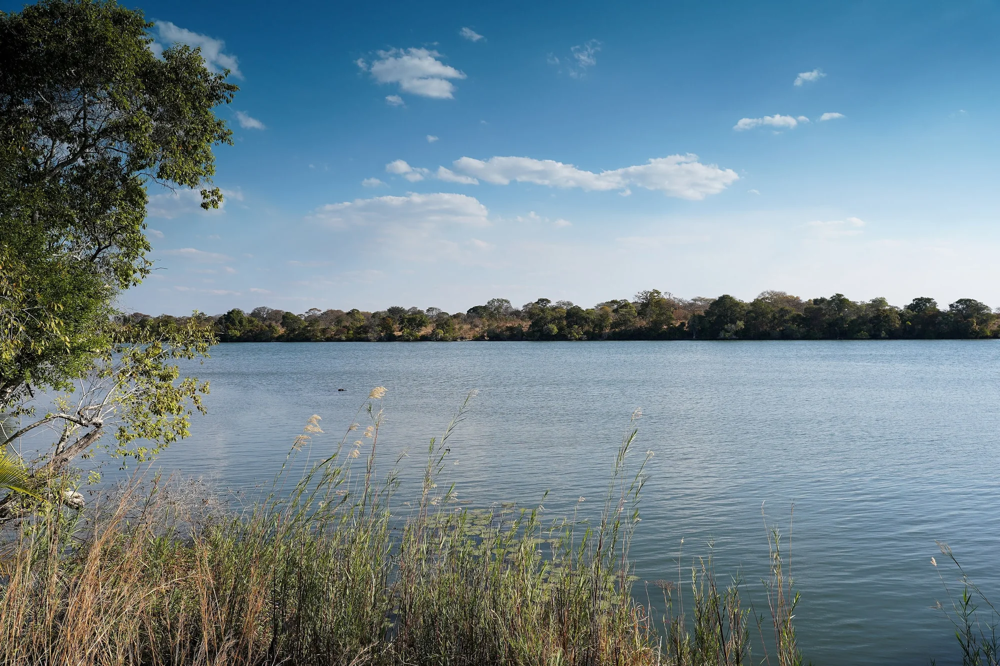 Kafue River from Kingfisher cottage, Pinnon Lodge, Mumbwa Game Management Area (GMA), Zambia