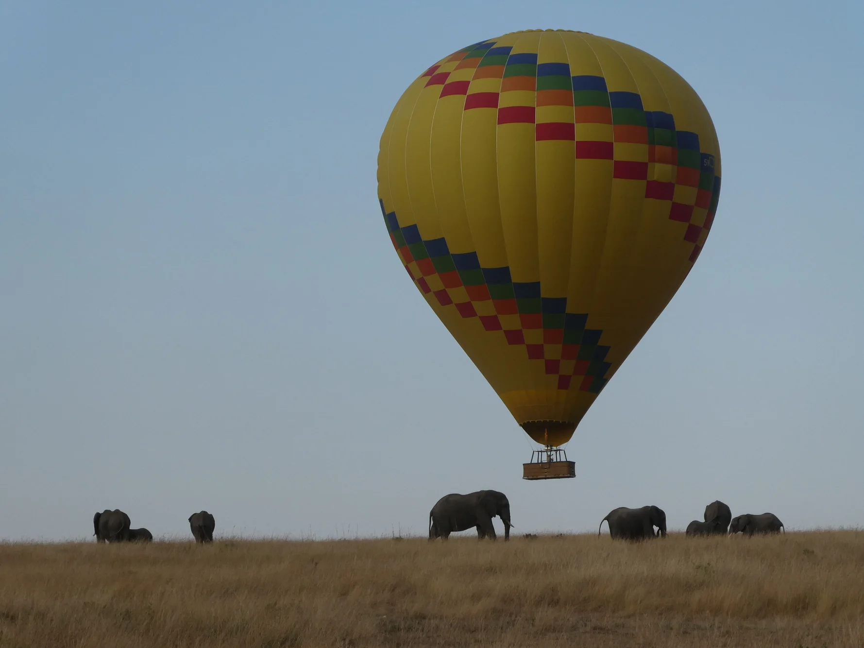 A hot-air balloon over elephants in the Masai Mara