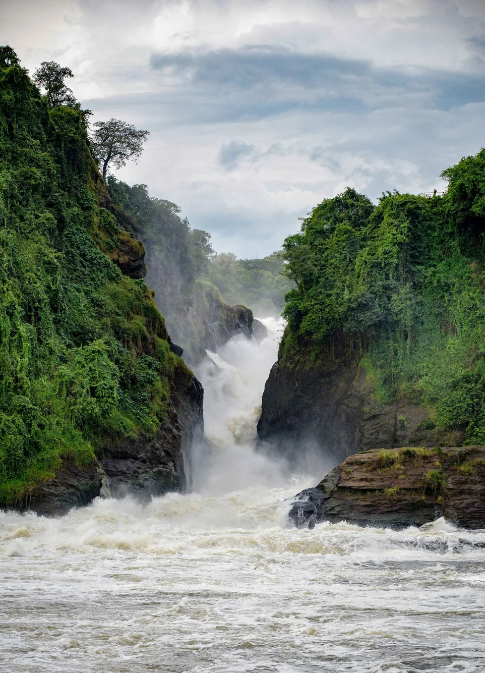 Uganda Natural World
