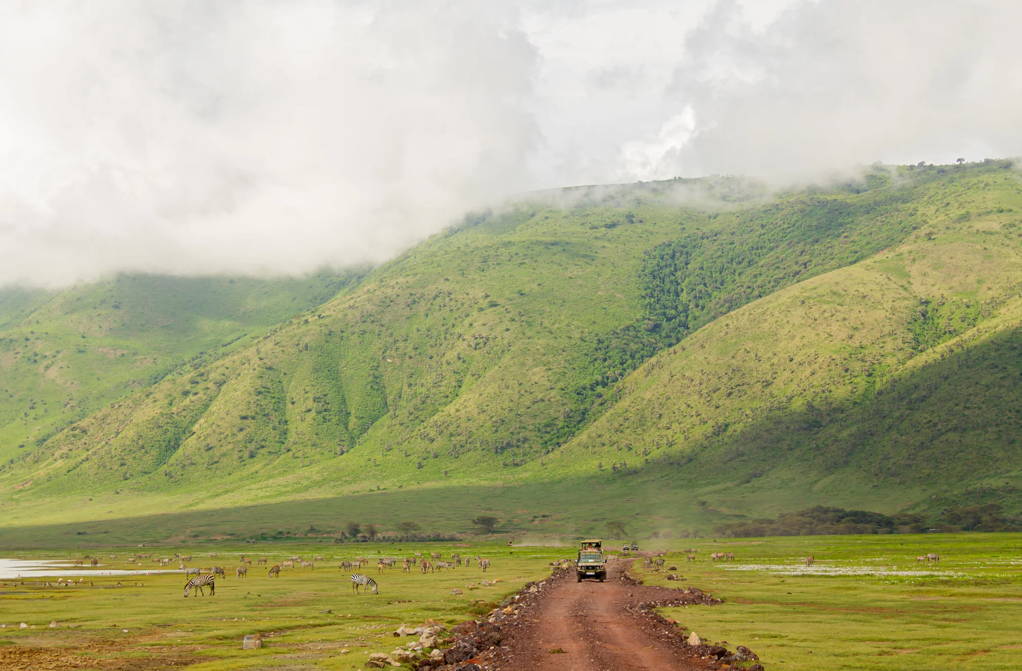 A game drive on the floor of Ngorongoro Crater