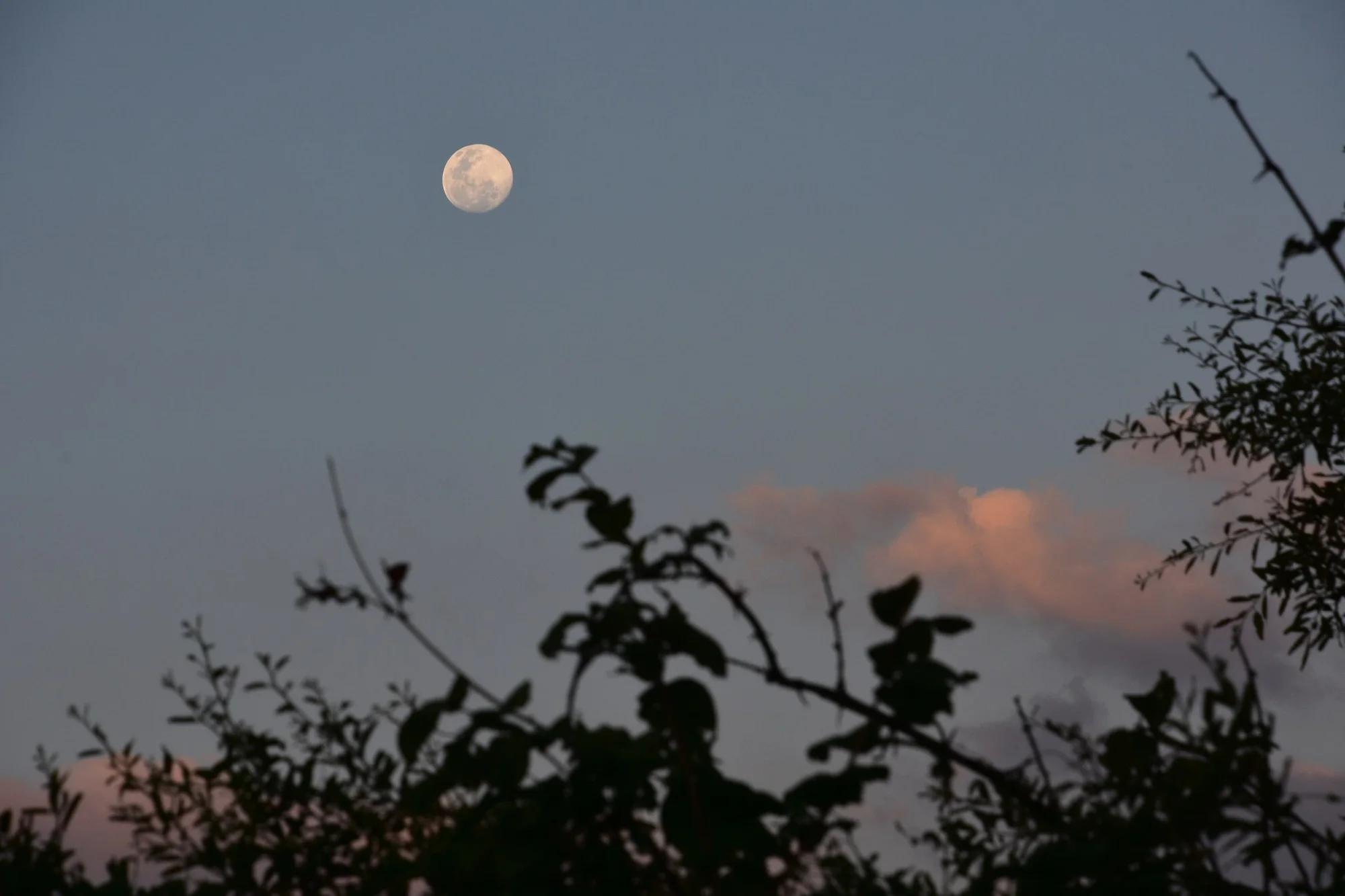 Moonrise at Ruaha National Park