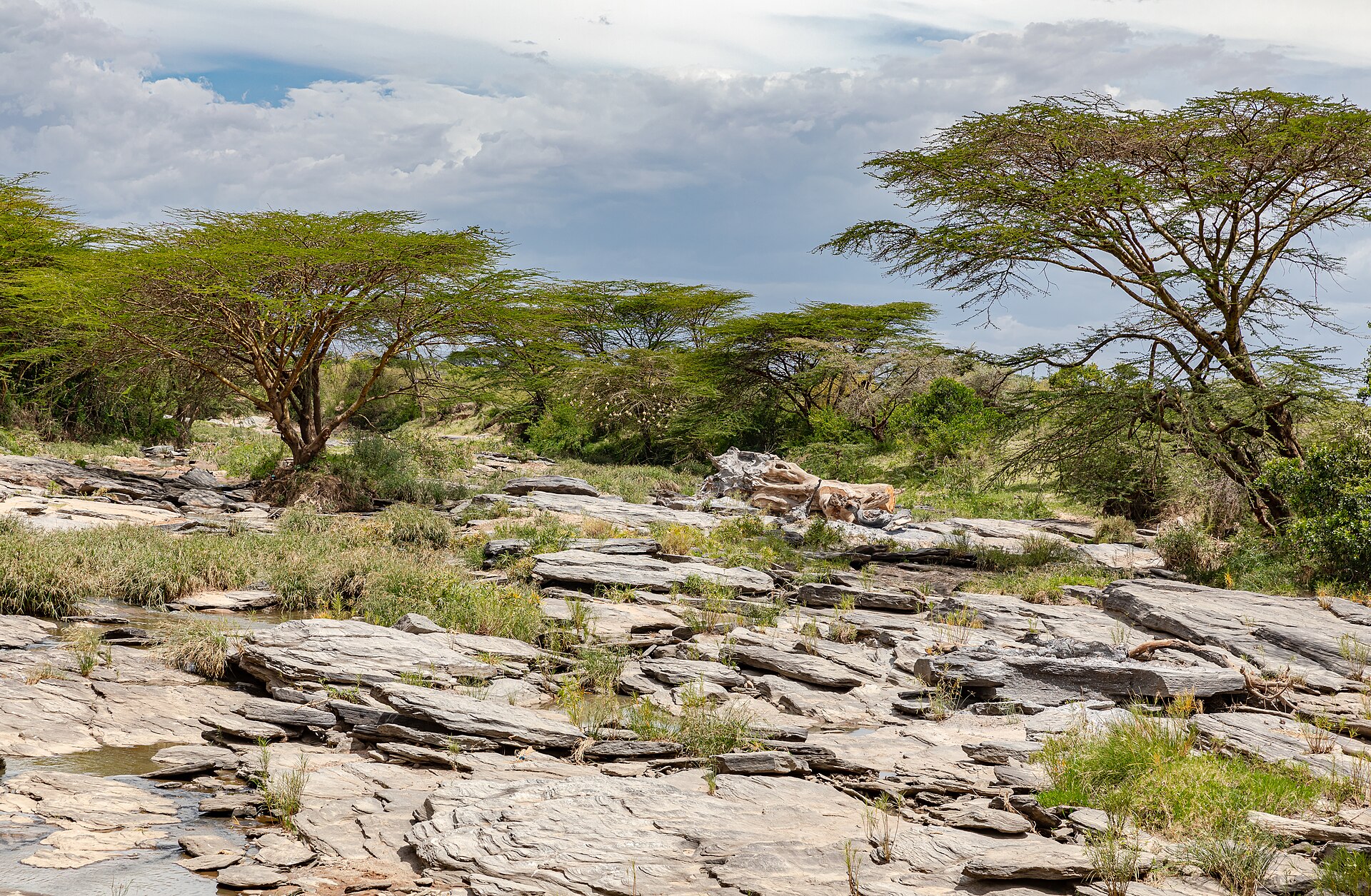 The Talek River in the Masai Mara, Kenya