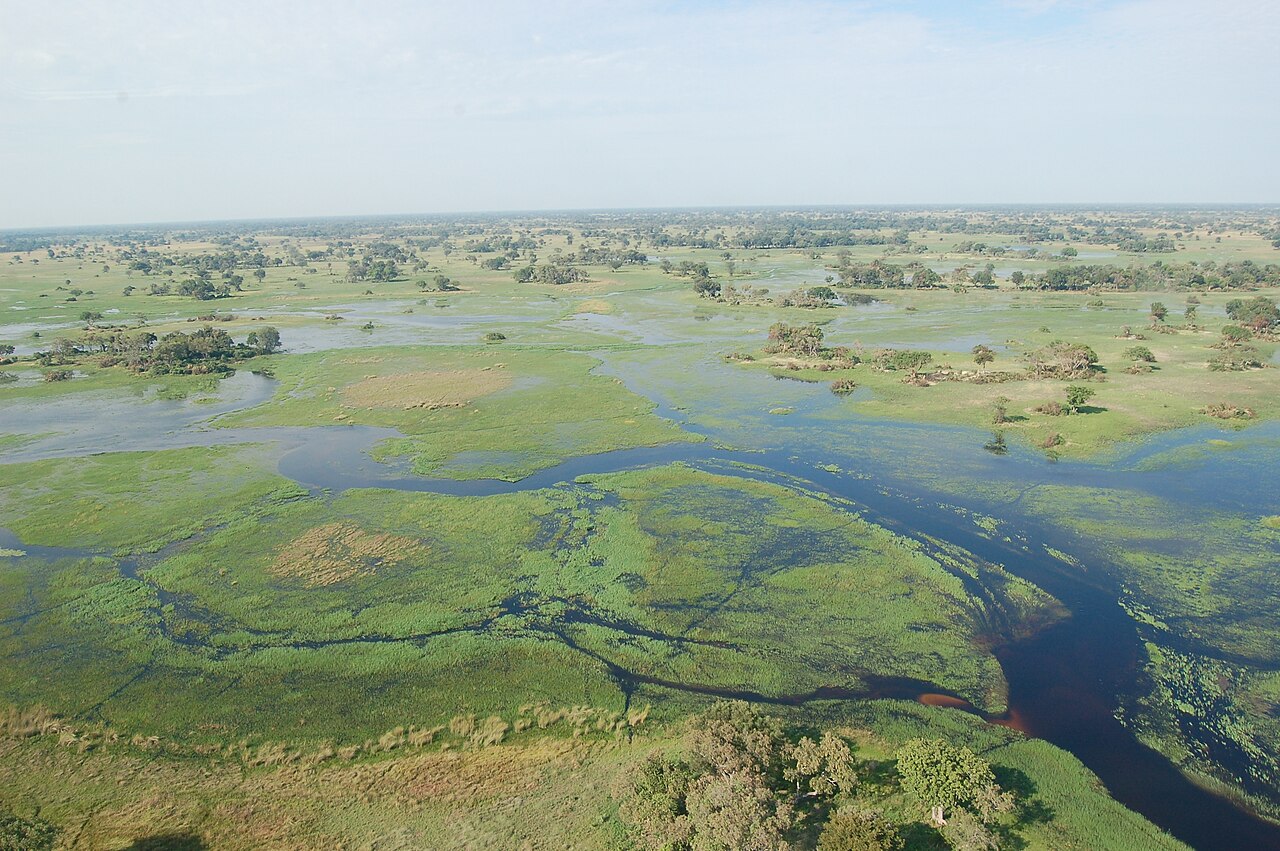 Okavango Delta, Botswana