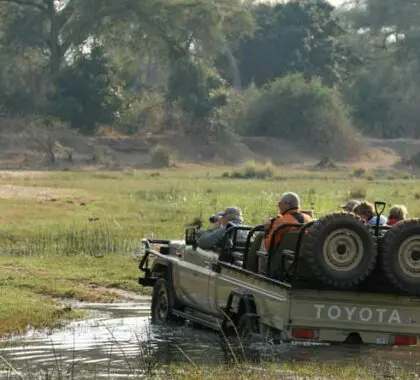 A boat safari close to an elephant in Botswana