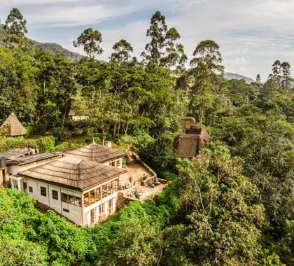 A lodge in Bwindi Impenetrable Forest, Uganda