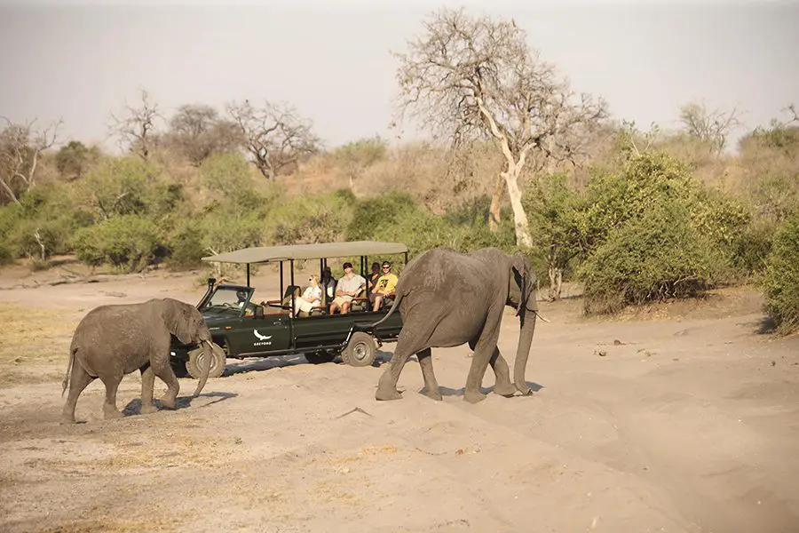 Chobe Under Canvas, Chobe National Park, Botswana