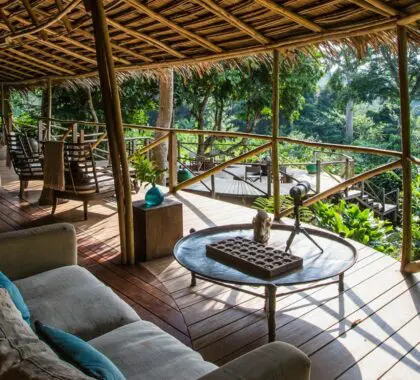 Ngaga Camp, Odzala-Kokoua, Congo