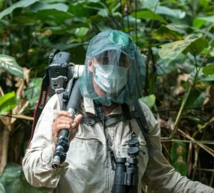 Tracking gorillas in the Congo