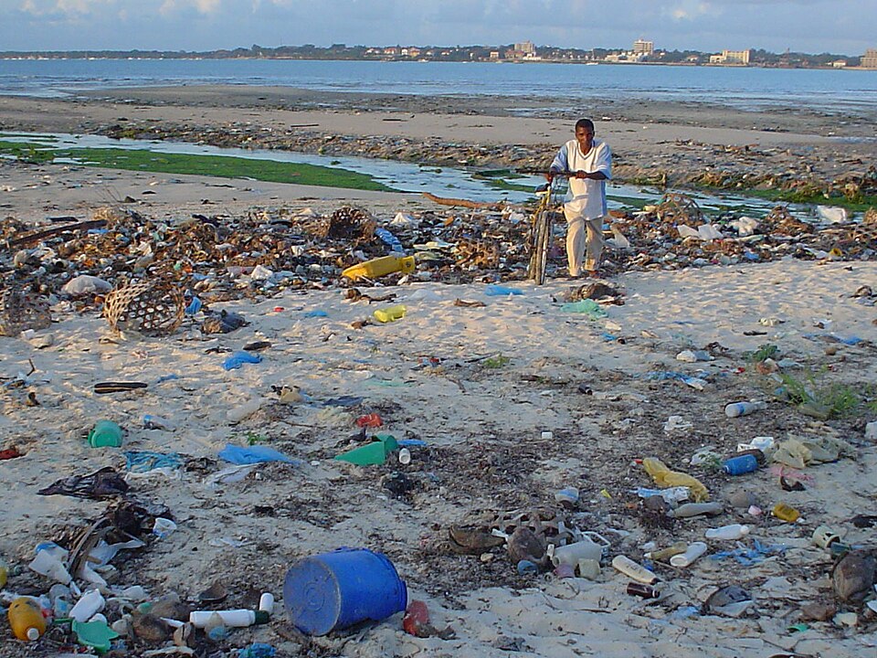 Beach at Msasani Bay, Strand bij Msasani Baai, Dar es Salaam, Tanzania