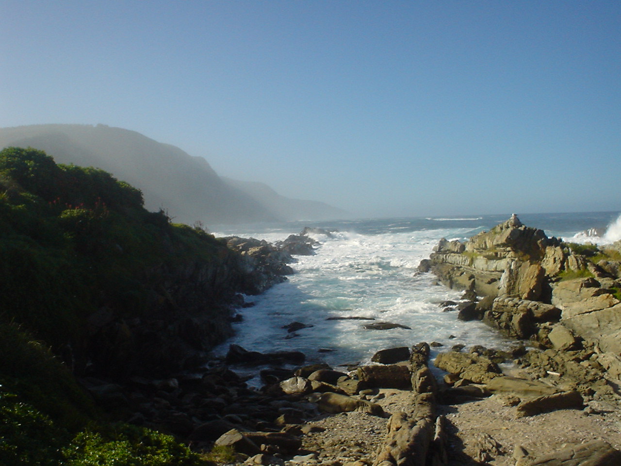 a Nature Reserve along the Garden Route in South Africa