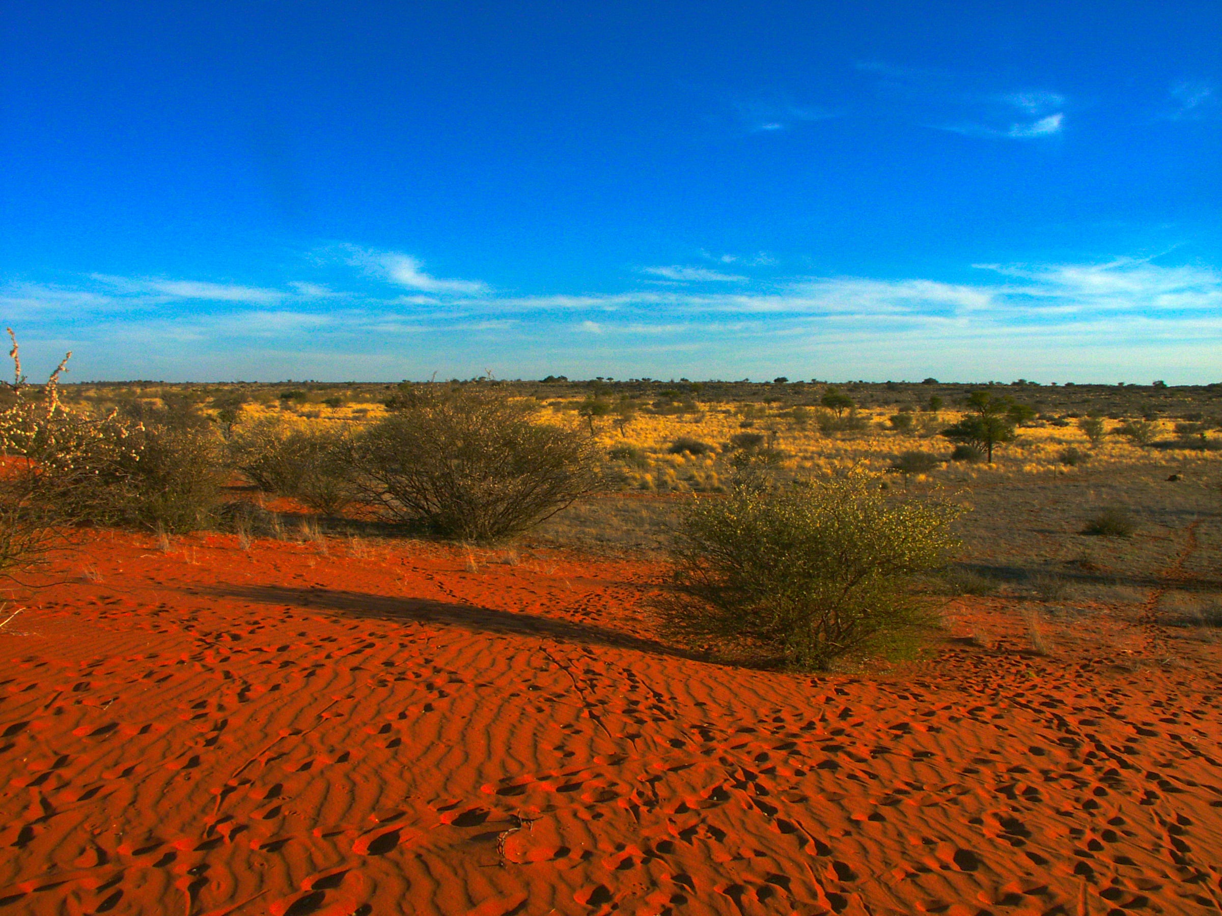 Kalahari, Botswana
