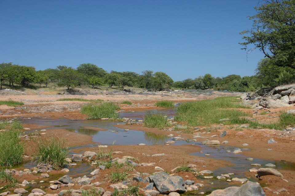 Ondoto Rivier, Kaokoveld
