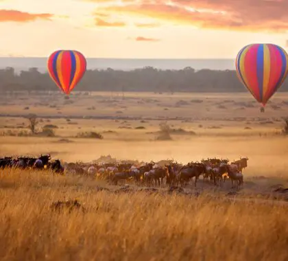 Kenya safari landscape