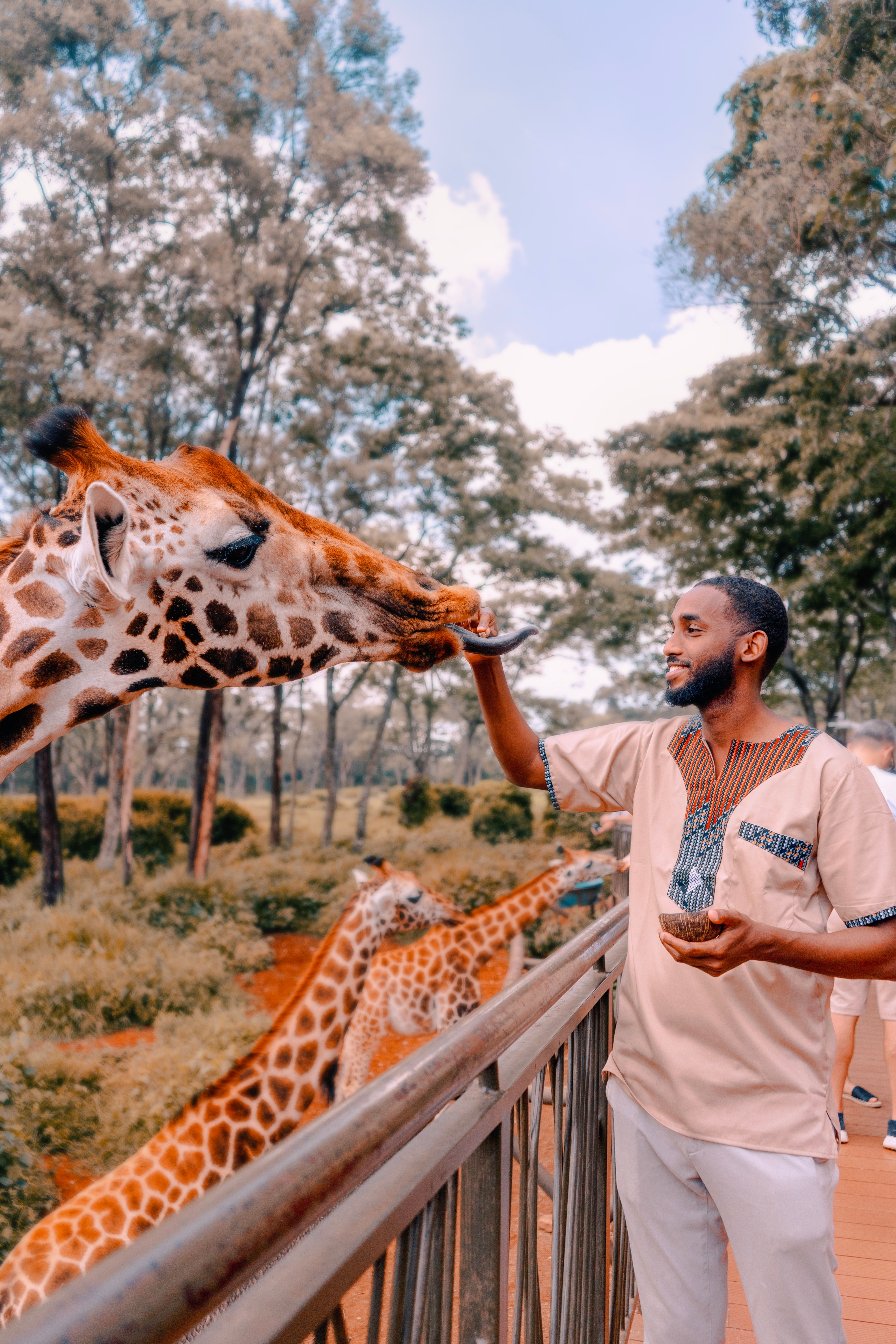 Wildlife in Kenya