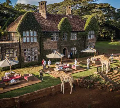 Afternoon tea at Giraffe Manor, Nairobi, Kenya