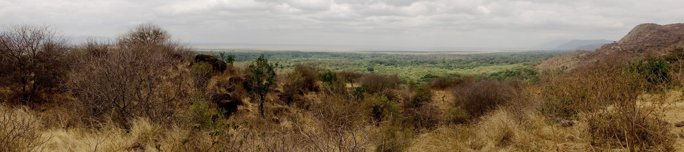 Lake Manyara, Tanzania