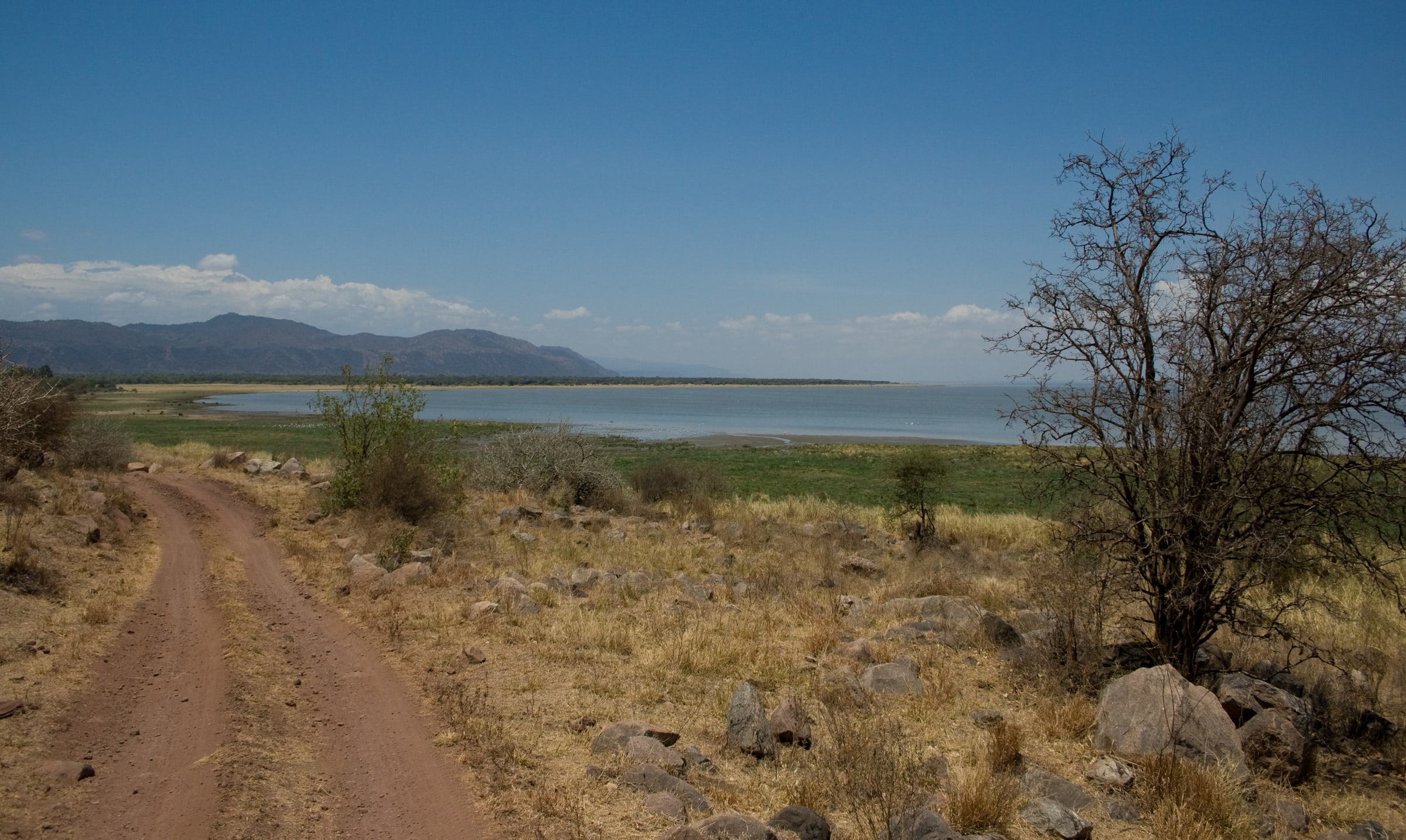 Lake Manyara national park , Tanzania .