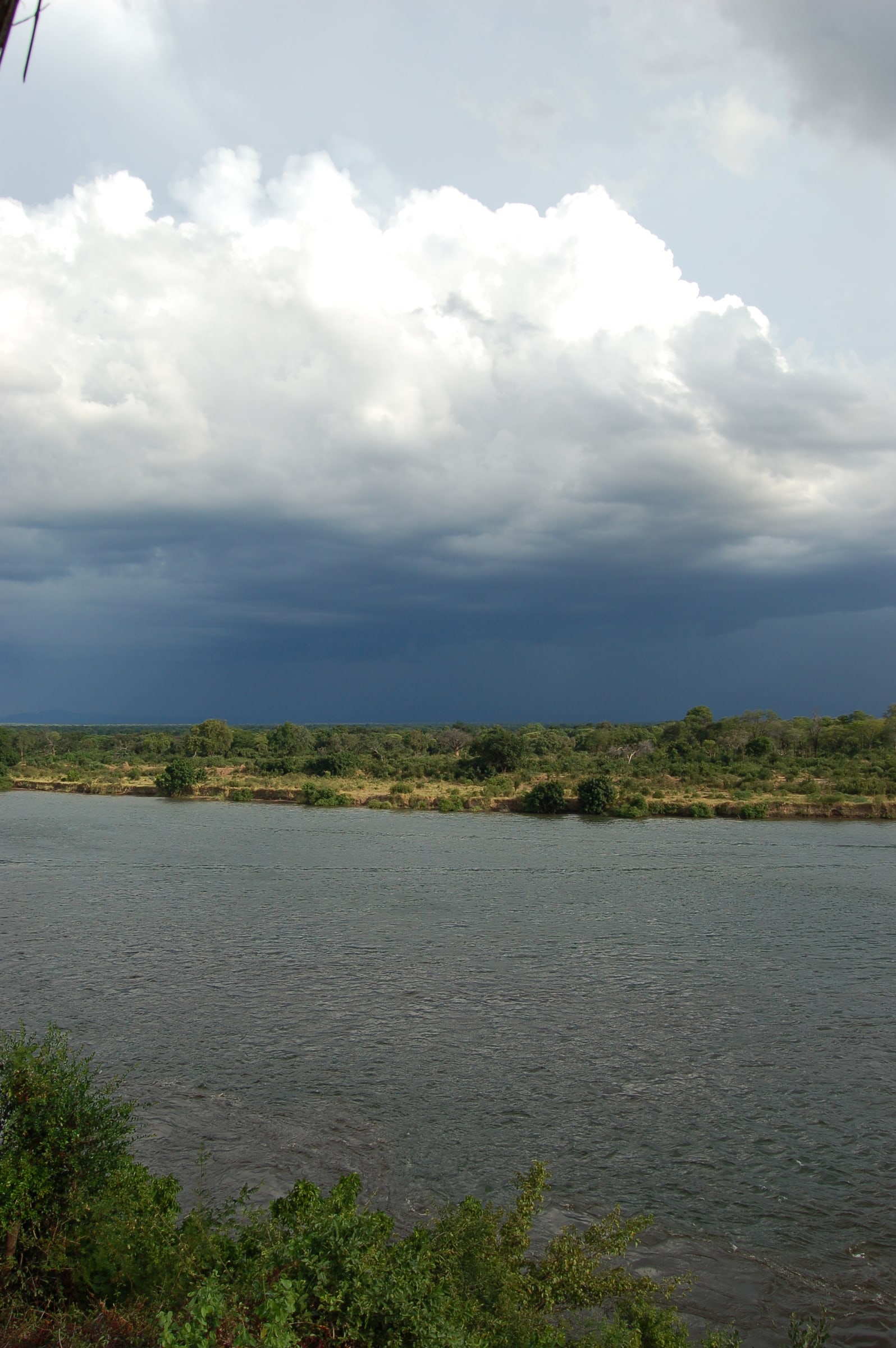Lower Zambezi, Zambia