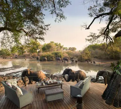 The main area at Kanga Camp, Mana Pools, Zimbabwe