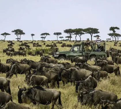 A game activity from Little Governors' Camp, Masai Mara, Kenya