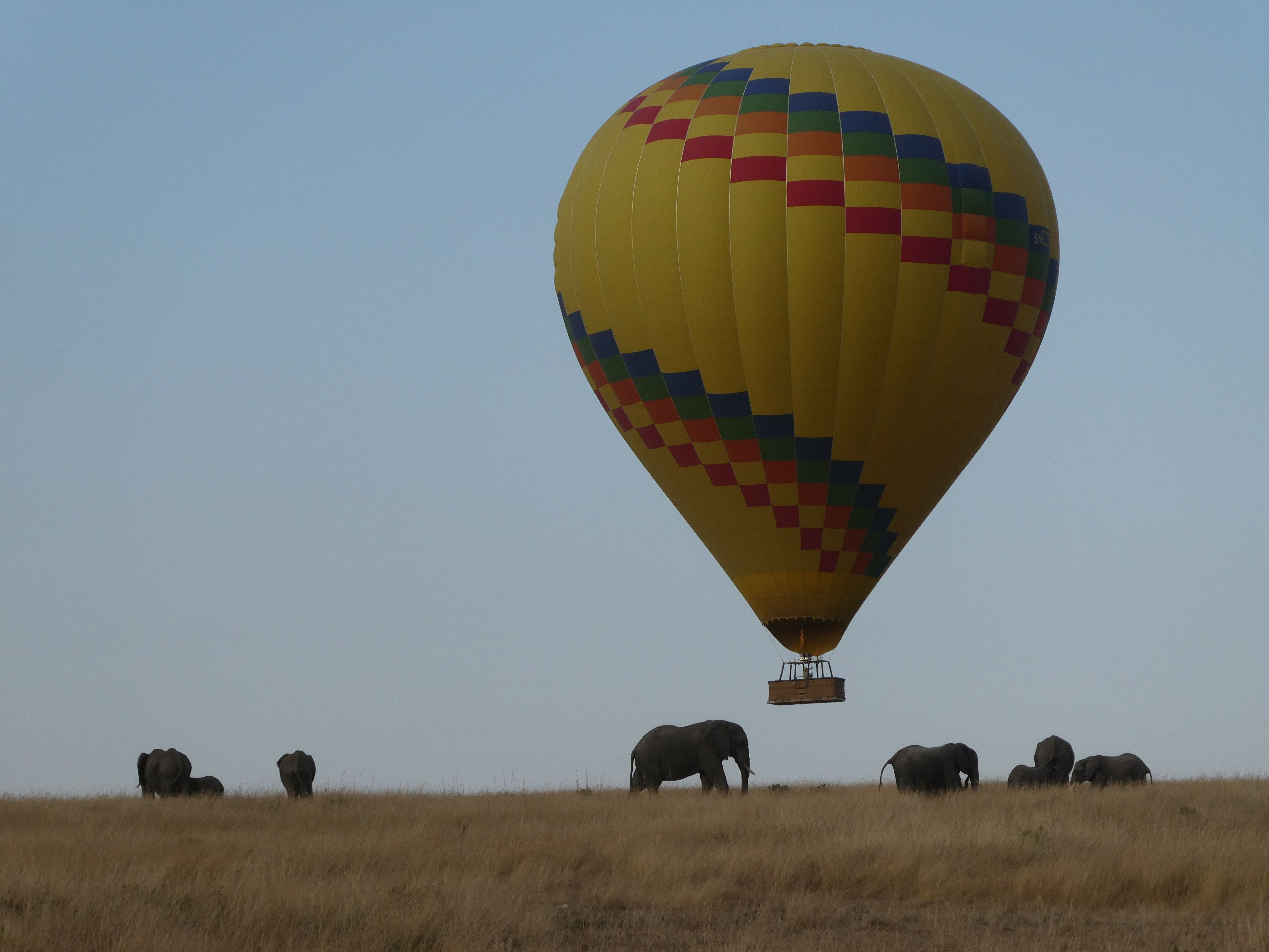 A hot-air balloon over elephants in the Masai Mara
