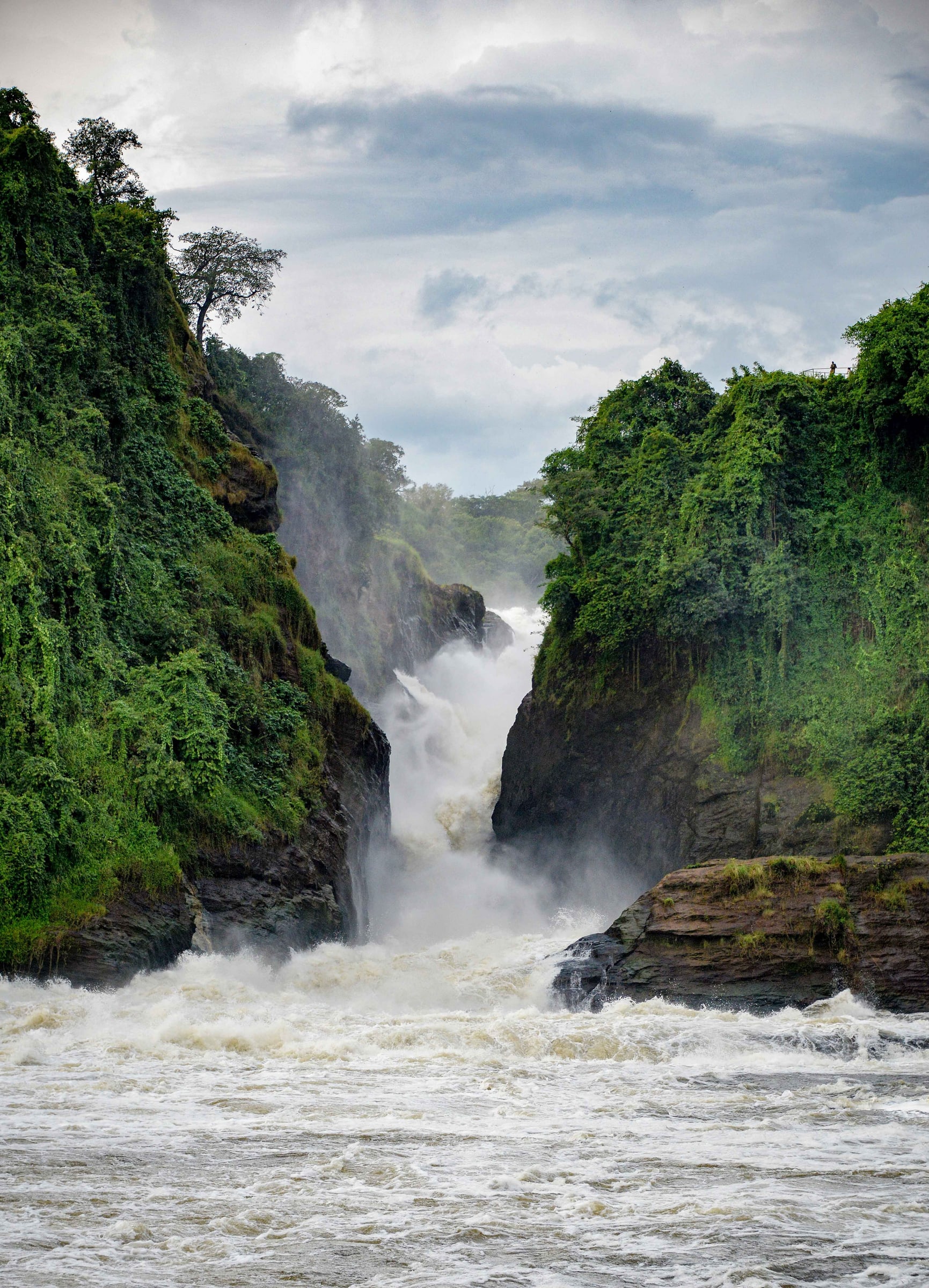 Uganda Natural World
