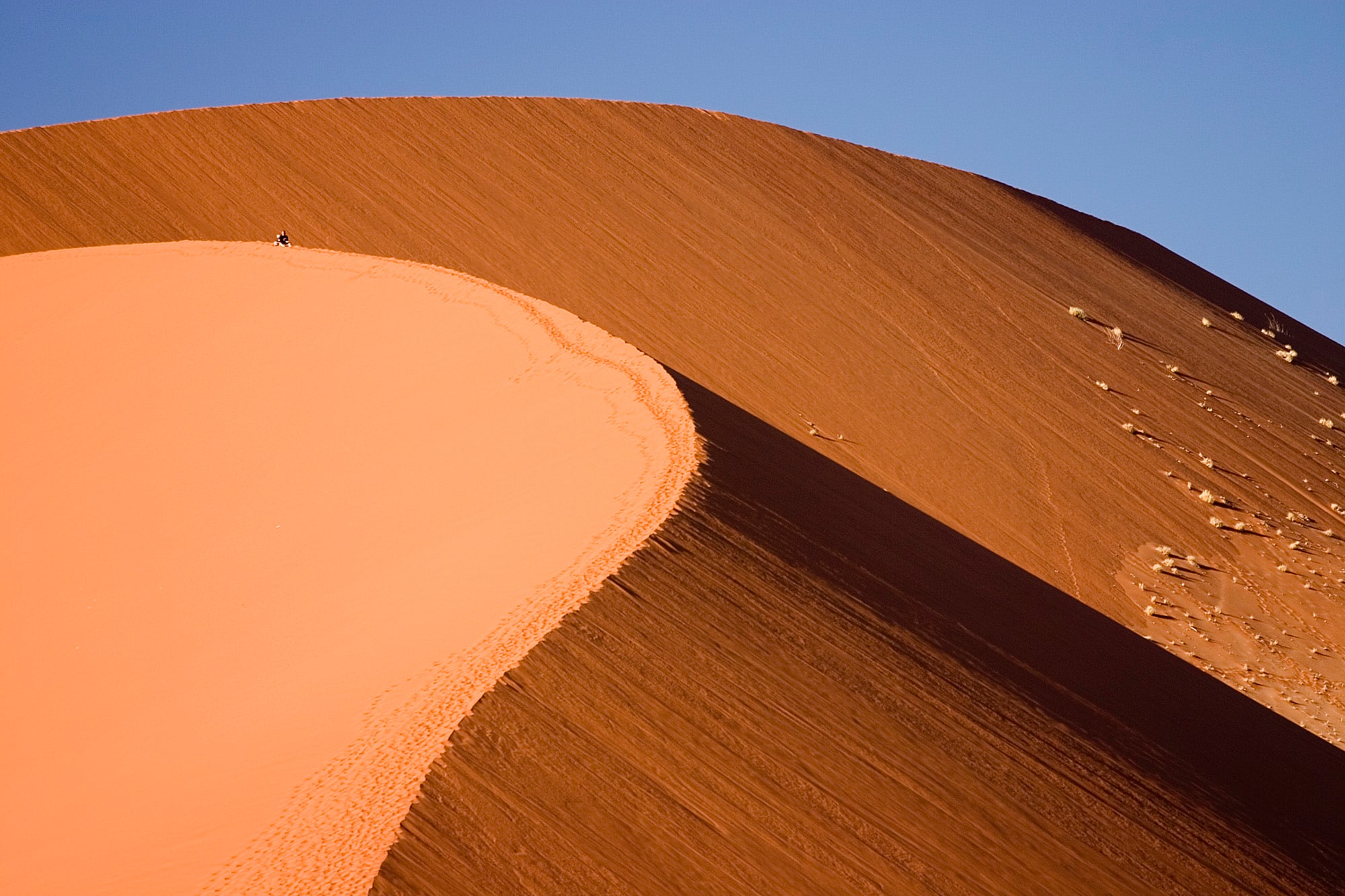 Dunes in Sossusvlei region, Namib-Naukluft National Park, Namib Desert, Namibia.
