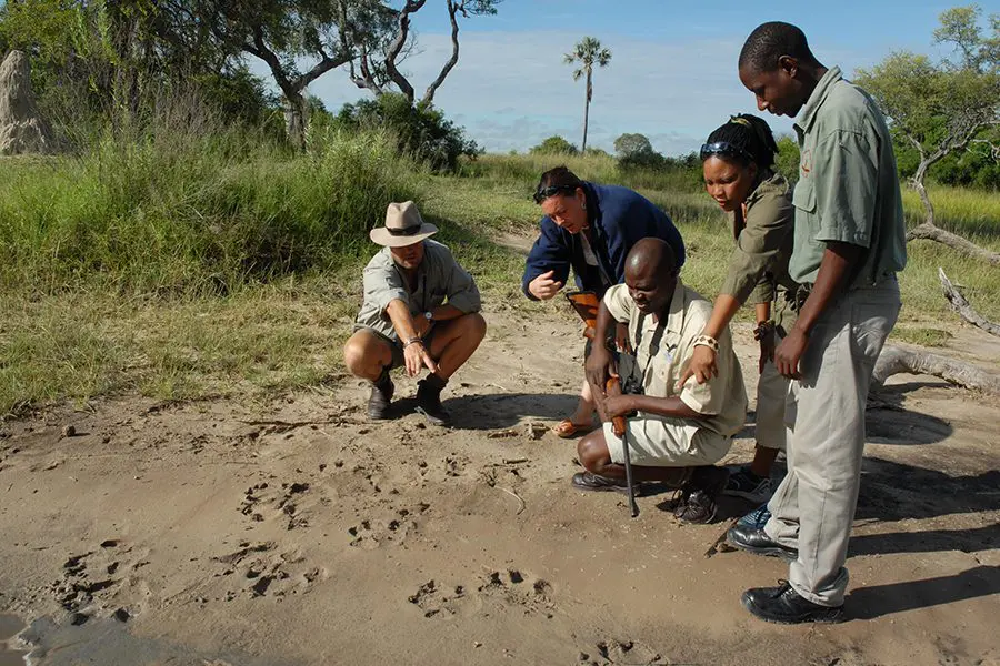 A walking safari from Baines' Camp, Okavango Delta, Botswana