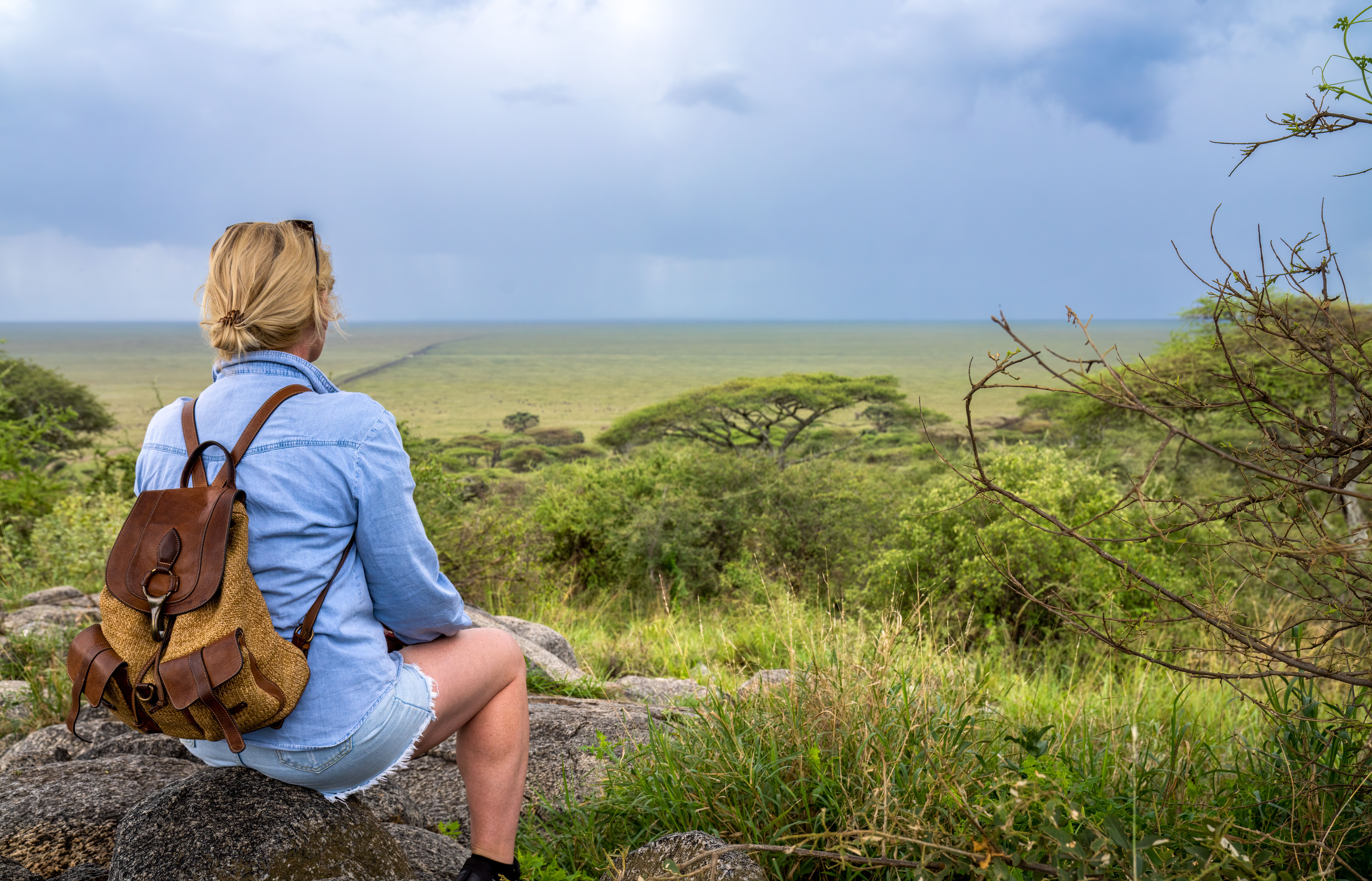 Tanzania safari wildlife
