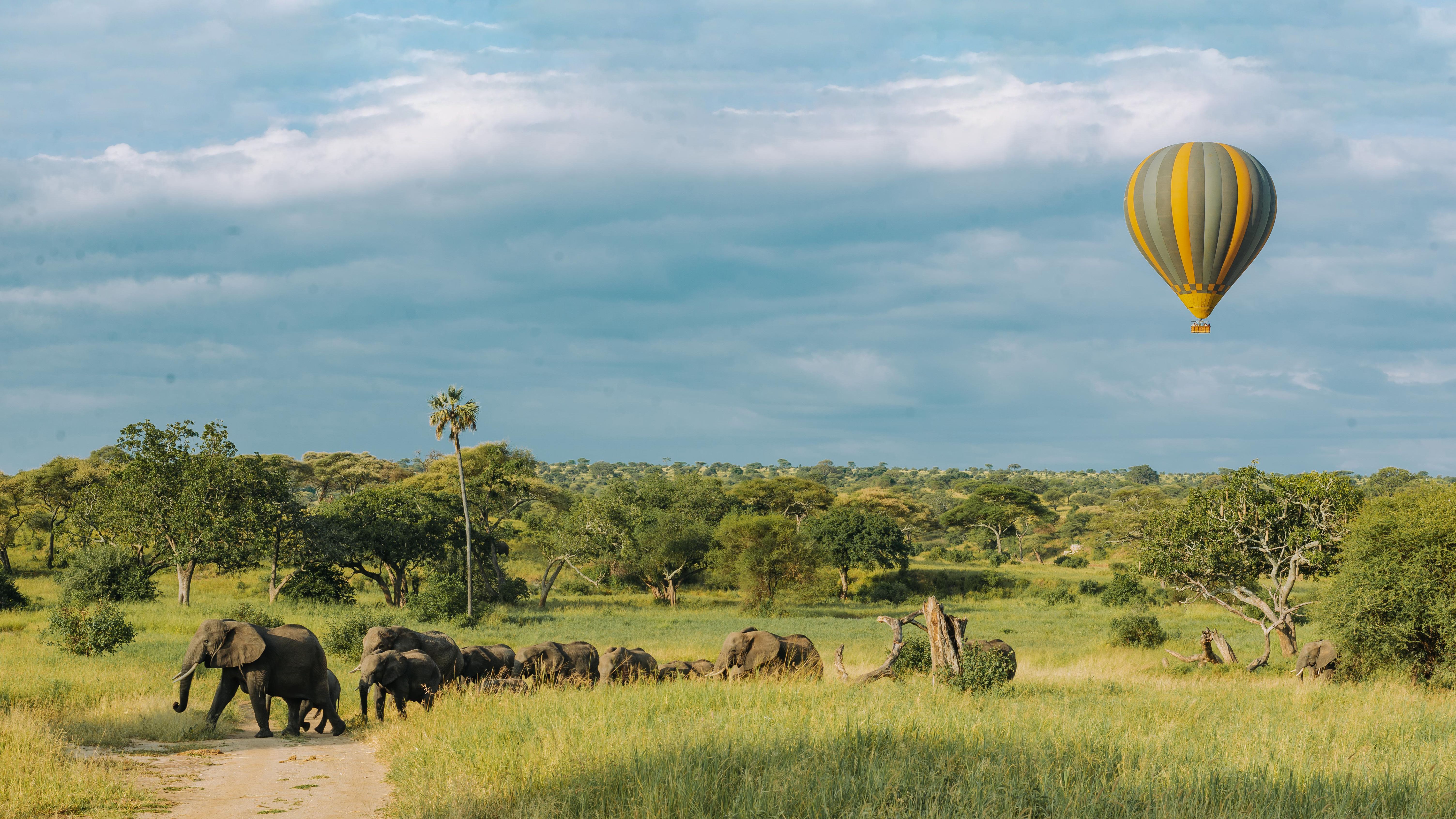 A balloon over elephants in Tanzania