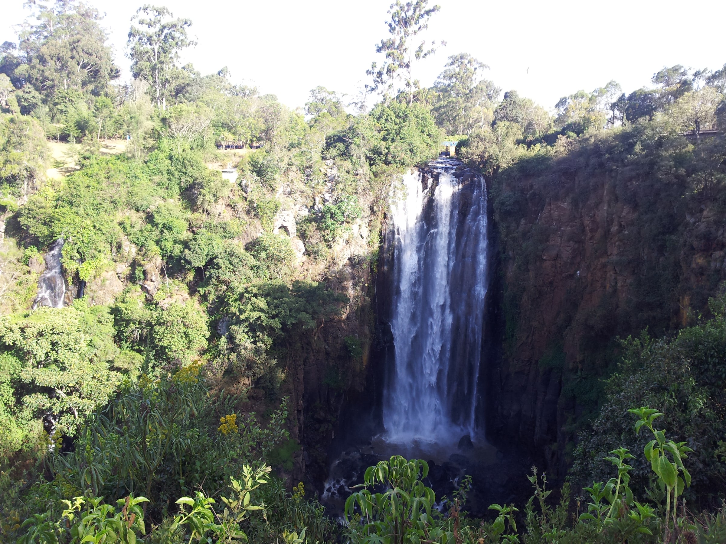 Aberdare Range, Kenya