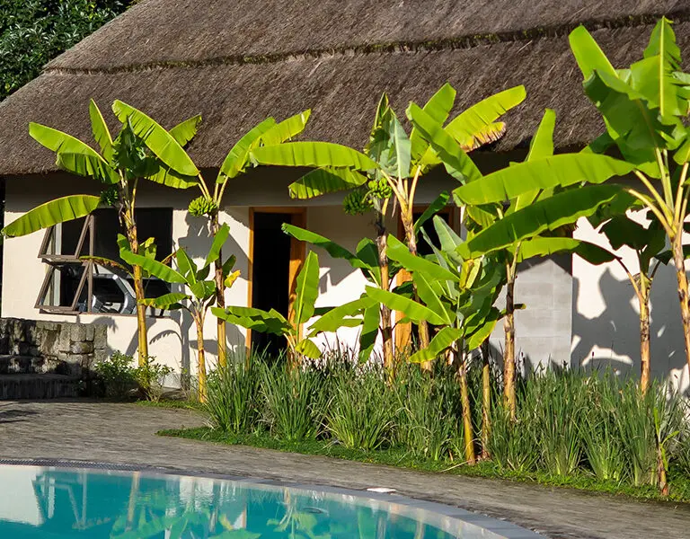 Bishops House 048 Spa
