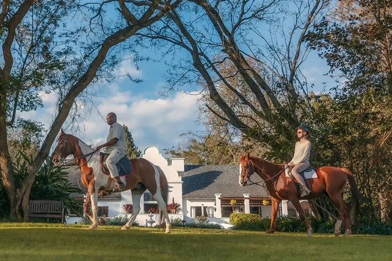 HorseRide TheManor 4x5