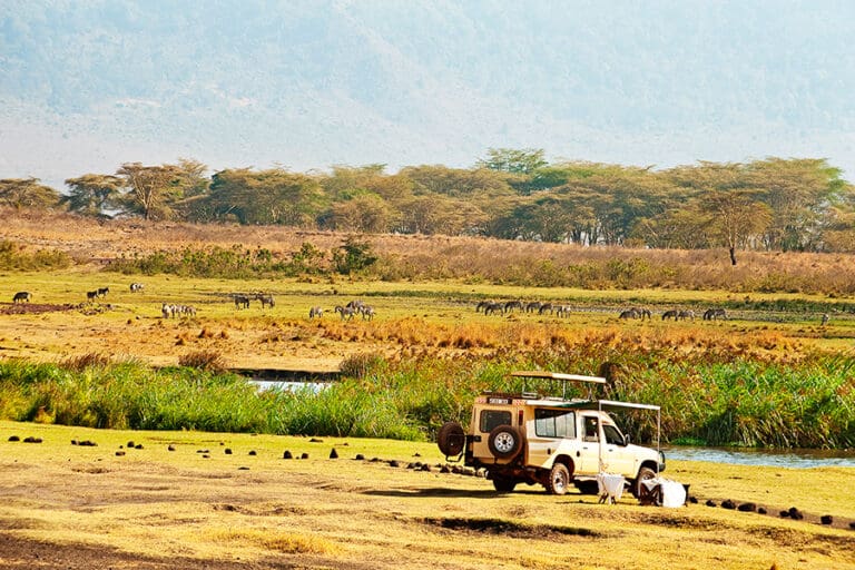 TheManoratNgorongoro Activity GameDrive