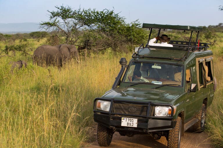 Serengeti Migration Camp game drive