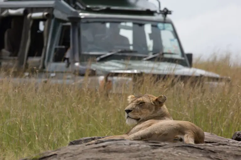 SandRiverMasaiMara Activity GameDrive