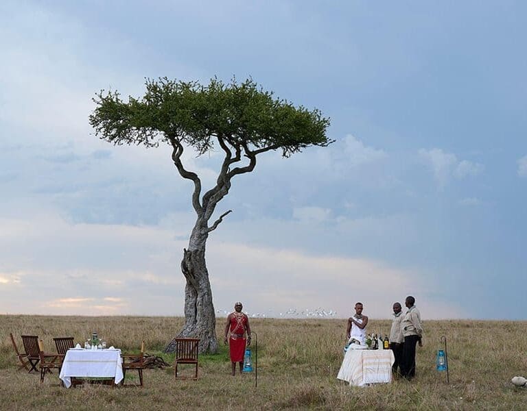 Saruni Wild 15 sundowners