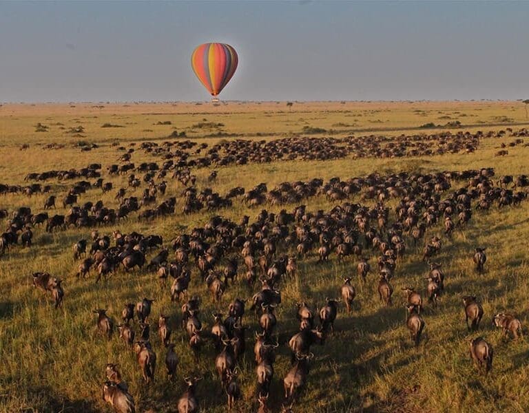 Saruni Wild hot air balloon