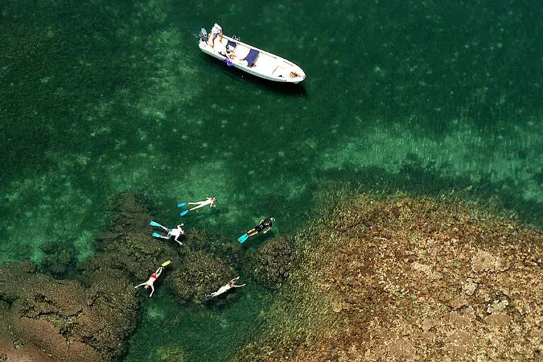 Snorkelling at Manda Bay Lodge