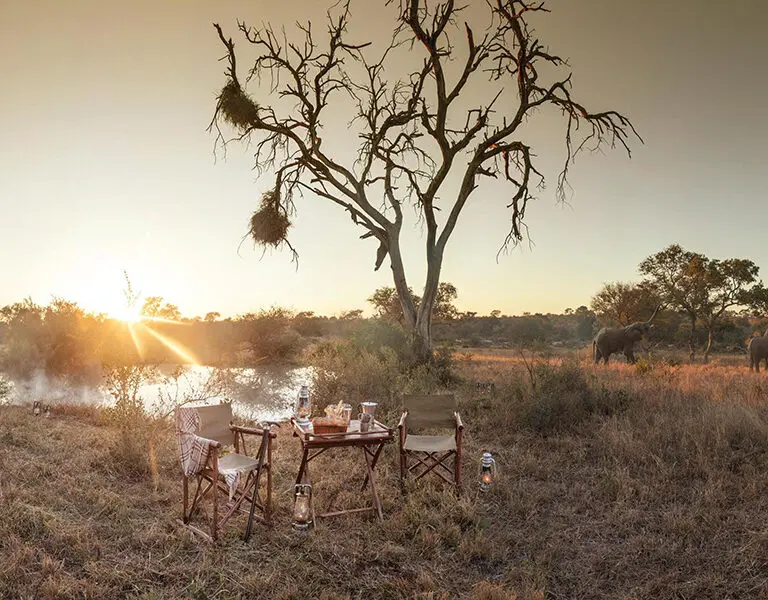 Kings Camp Coffee at the waterhole