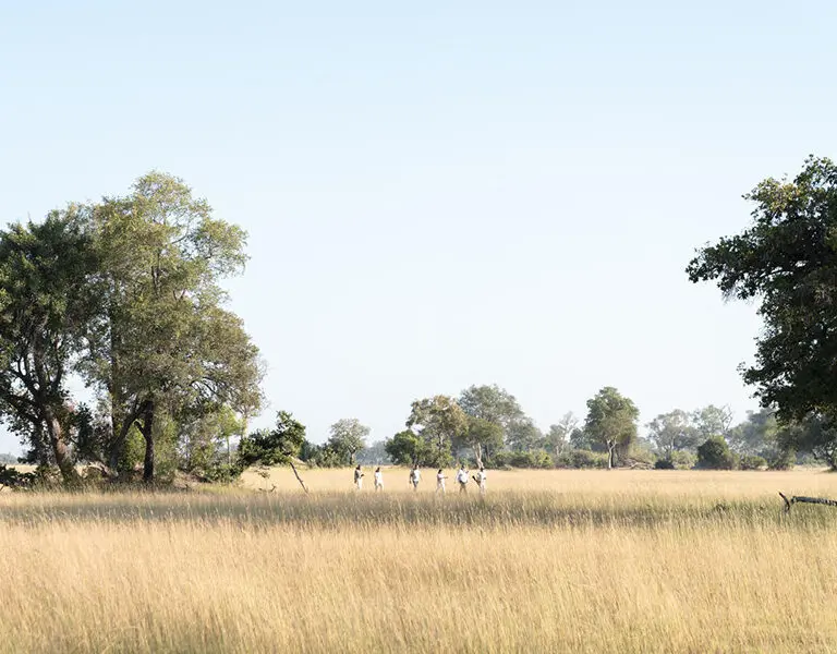 Xugana Island Lodge Desert Delta Safaris Botswana Okavango Delta okavango delta guided walks 2024 5