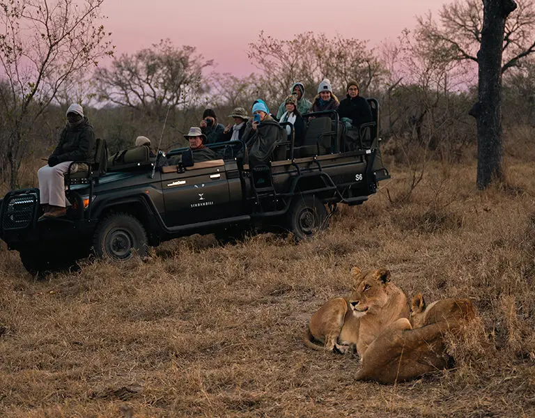 Simbambili Game drive