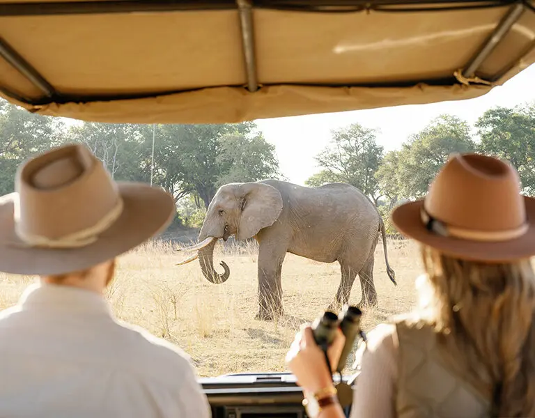 TimeTide activities Zambia South Luangwa Game Drive Chinzombo © Oliver Fly Photography 137
