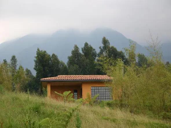 Sabyinyo altitude